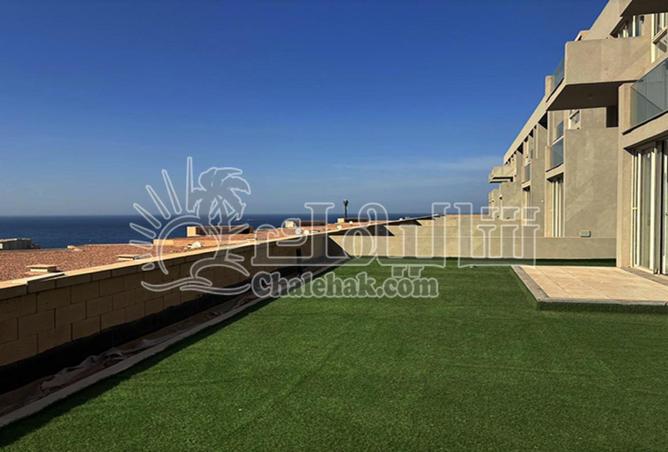 8717828 - Property Image 2