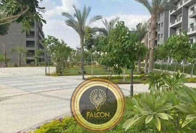 68525730 - صورة العقار 2