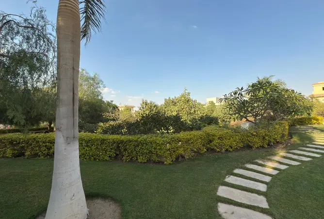 114626055 - صورة العقار 3