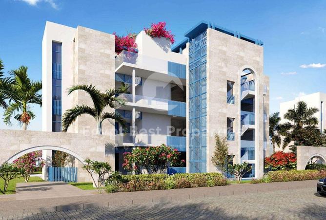 68538645 - Property Image 3