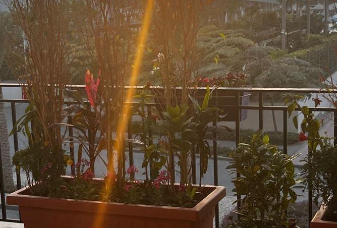 59750882 - Property Image 2