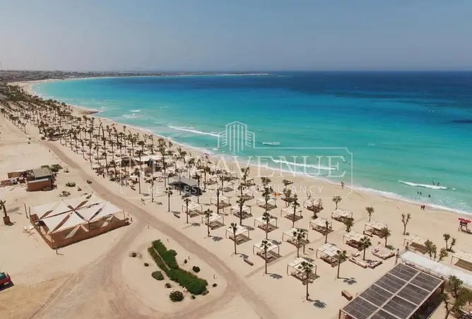 109637217 - صورة العقار 3