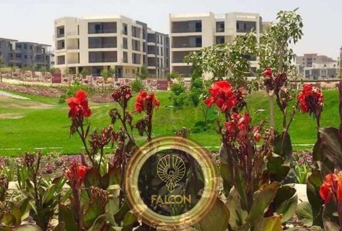 67469306 - صورة العقار 3