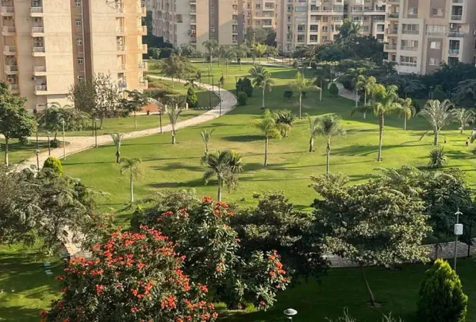 117535723 - صورة العقار 2