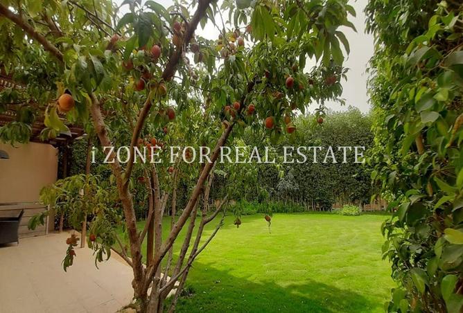 54756994 - Property Image 3