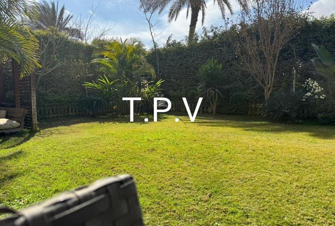 52725225 - صورة العقار 3