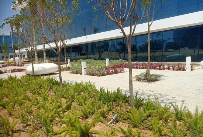 8666560 - Property Image 3