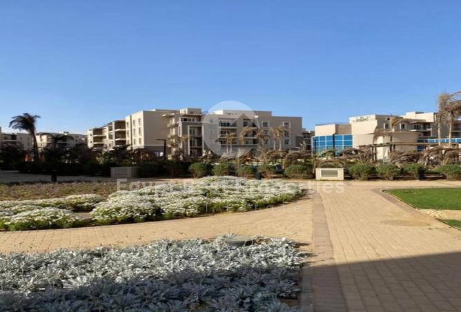 61691103 - صورة العقار 3