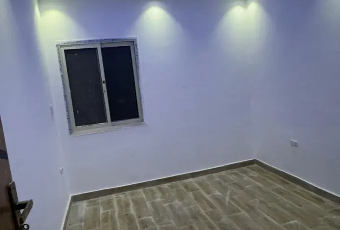 117523393 - Property Image 3