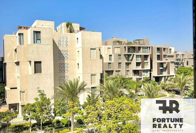 64894796 - صورة العقار 3