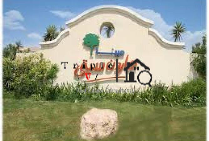 8621838 - Property Image 3