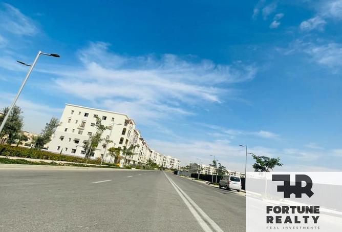 53478995 - صورة العقار 3