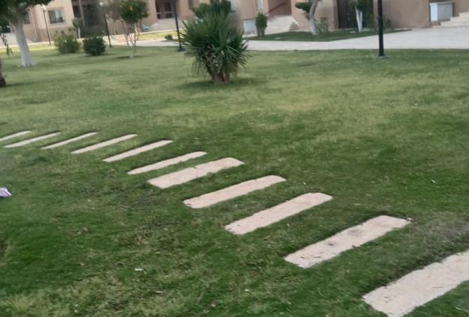 65916101 - صورة العقار 3