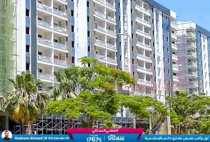 8553679 - صورة العقار 3