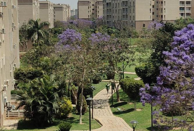 72716071 - الصورة الرئيسية للعقار