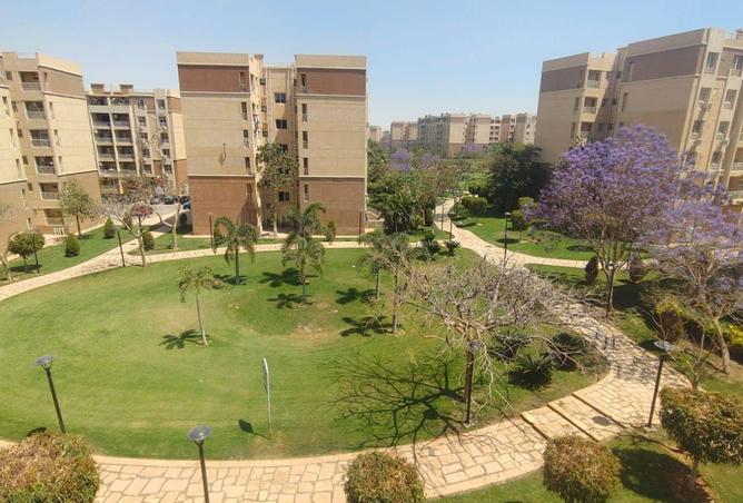 72716071 - صورة العقار 2