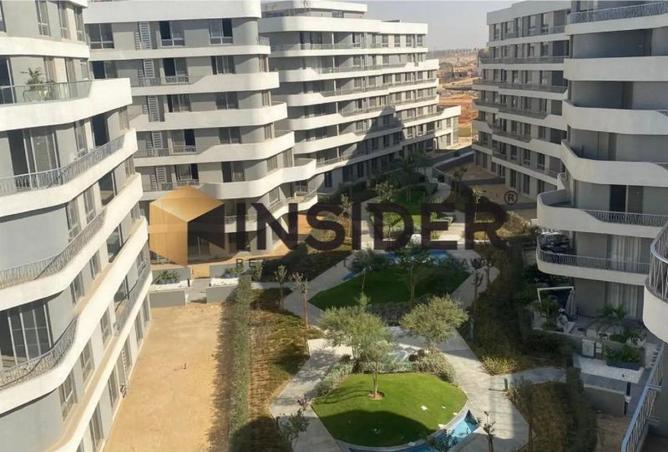 8663250 - Property Image 3