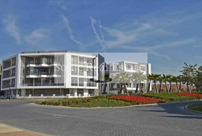 66969526 - Property Image 3