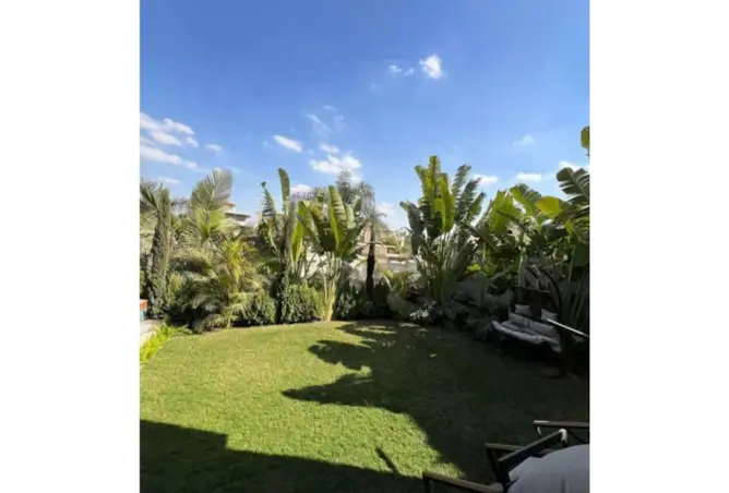 117267086 - صورة العقار 3