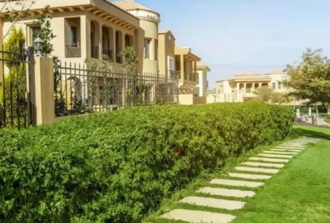 114890062 - Property Image 3