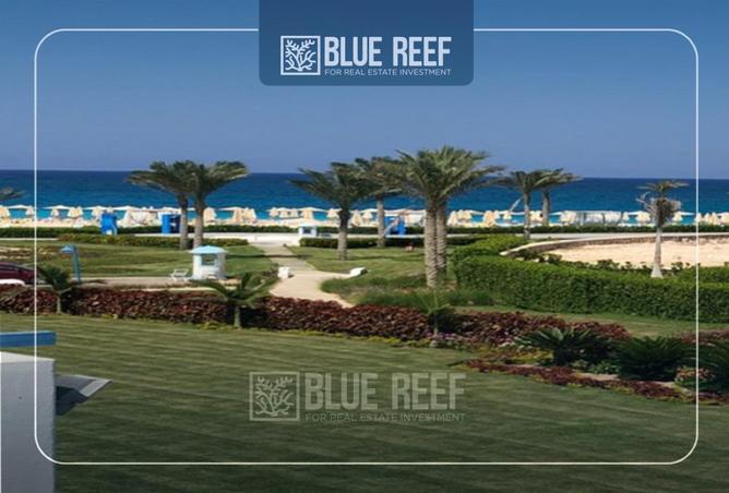 66949075 - Property Image 3