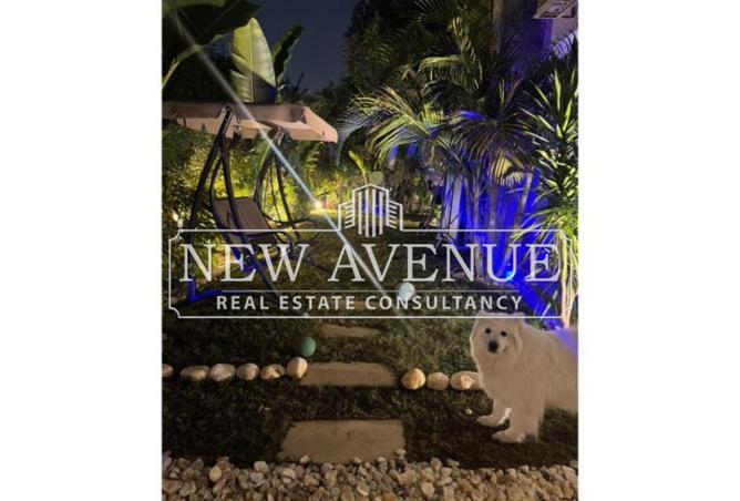 57736139 - صورة العقار 3