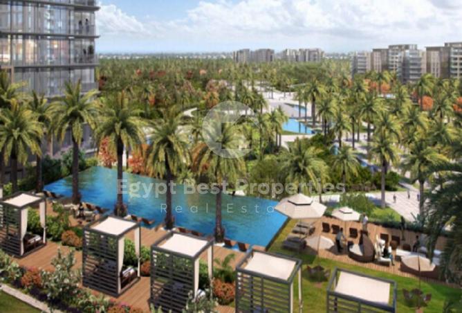 58248134 - Property Image 3