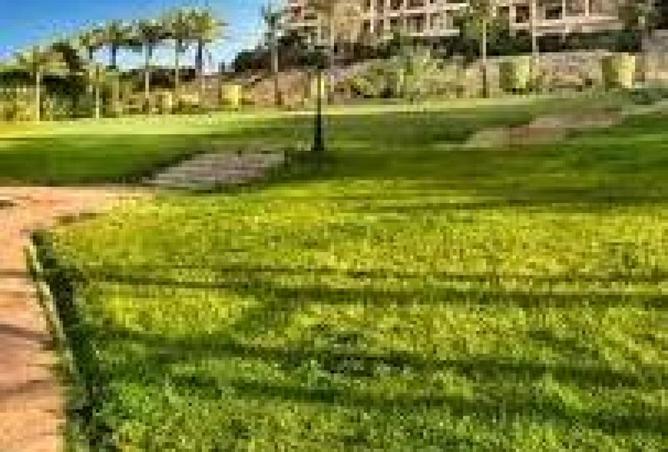 64896356 - صورة العقار 2