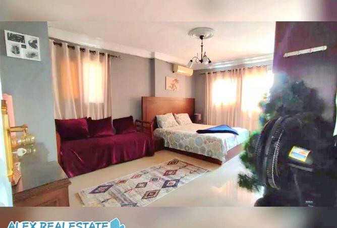 61679513 - Property Image 3