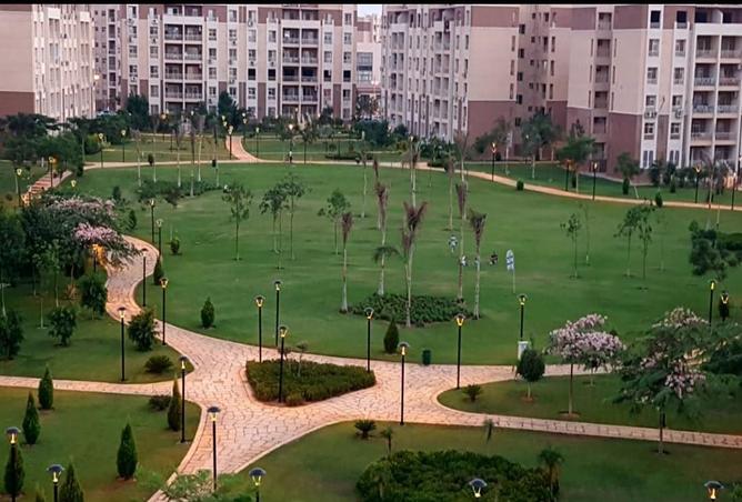 80531999 - Property Image 3