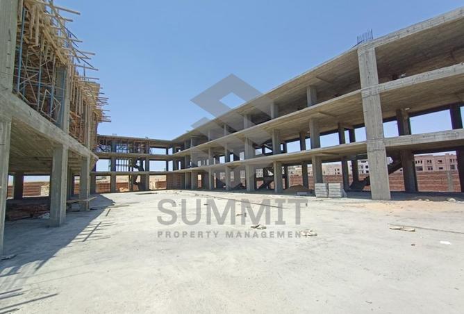 8602014 - صورة العقار 3