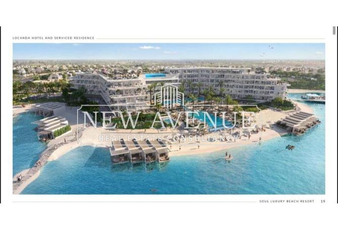 56511194 - Property Image 3