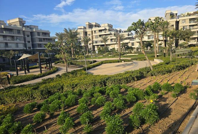 66683339 - صورة العقار 2