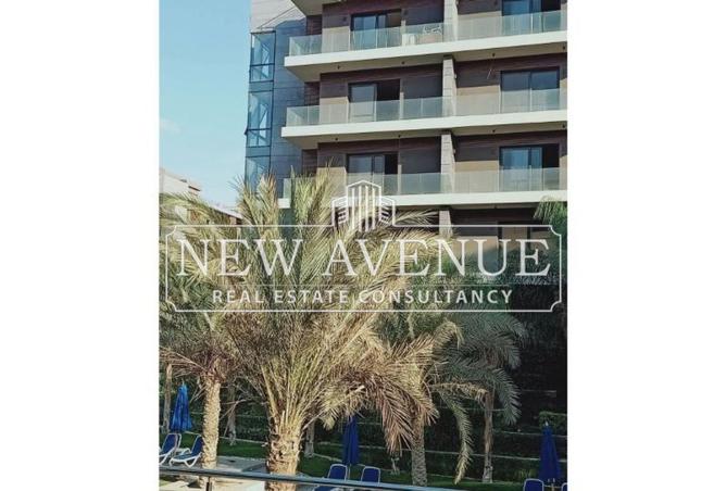 8582485 - Property Image 3