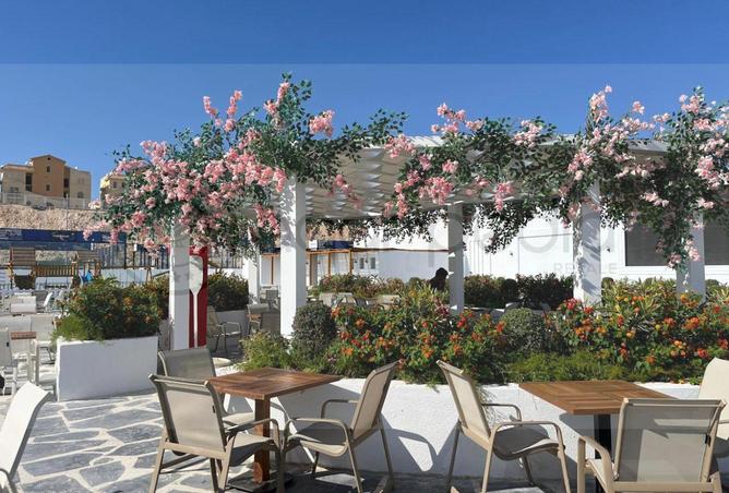 8716274 - صورة العقار 3