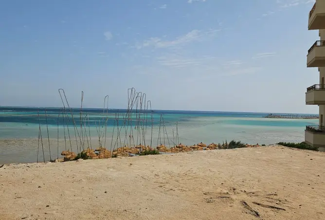 118542254 - صورة العقار 3