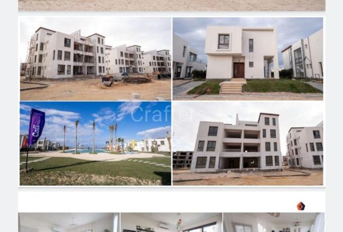 81042516 - Property Image 3