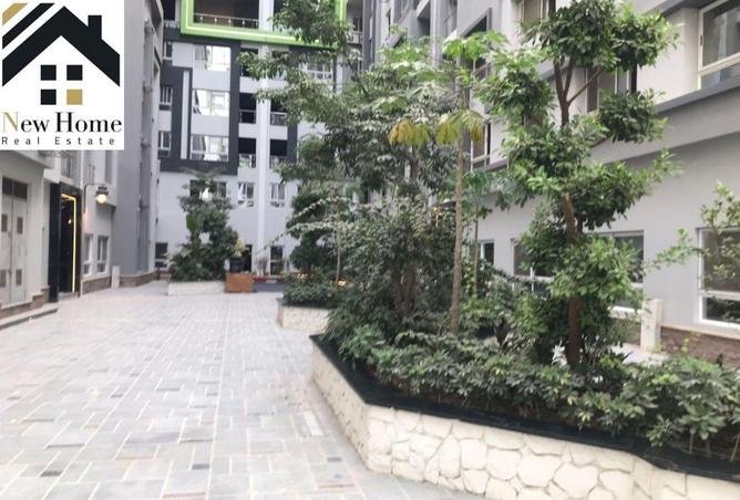 8611841 - Property Image 3