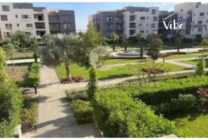 64138684 - صورة العقار 3