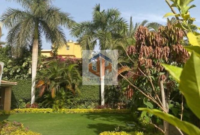79992285 - صورة العقار 3