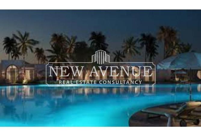 68784828 - Property Image 3