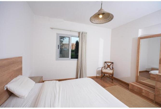 53973873 - Property Image 3