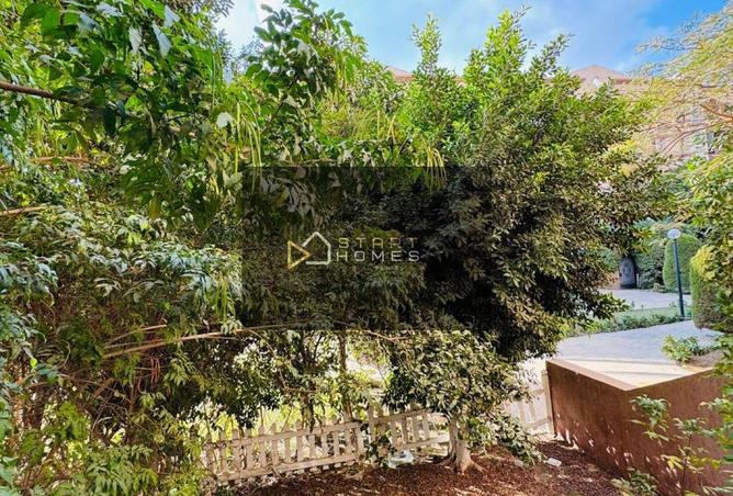 8571431 - Property Main Image