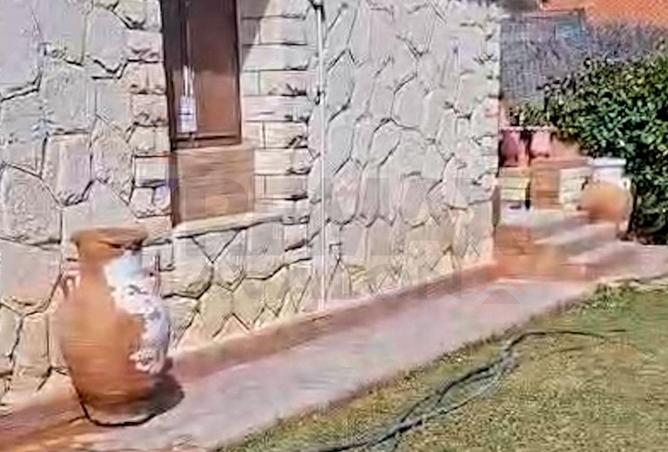 81827295 - صورة العقار 3