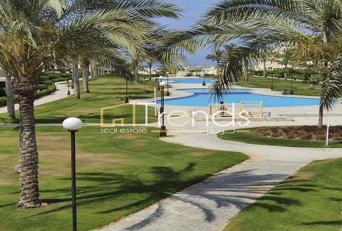 81567585 - صورة العقار 3