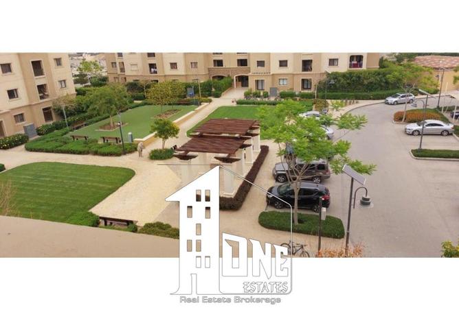 66701238 - Property Image 2