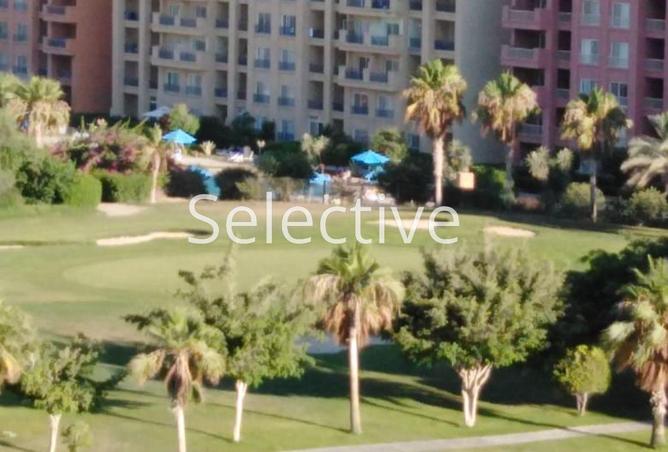 65911201 - Property Image 3