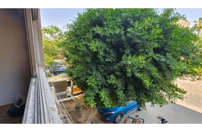 Office Space - Studio - 3 Bathrooms for rent in New Maadi - Hay El Maadi - Cairo