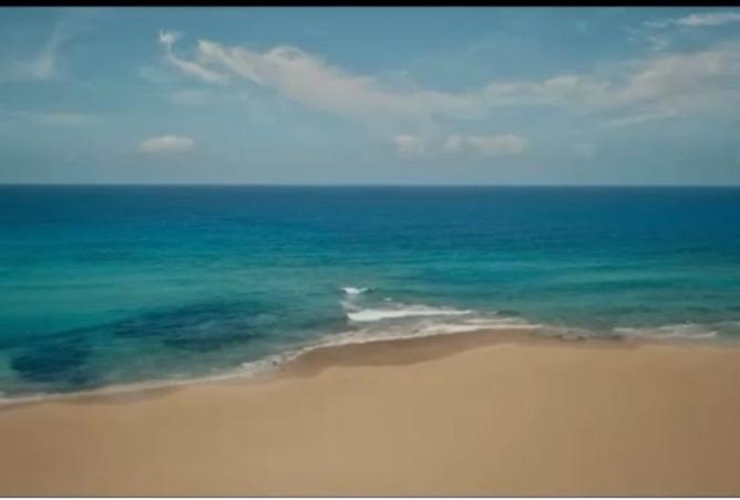 59990062 - صورة العقار 2