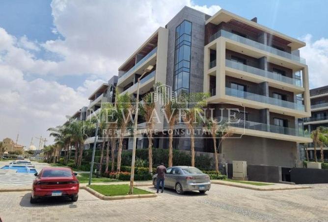 81311260 - Property Image 3